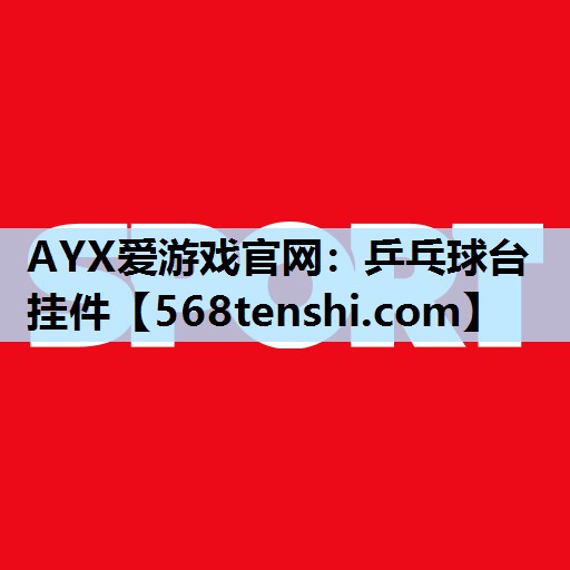 AYX爱游戏官网：乒乓球台挂件