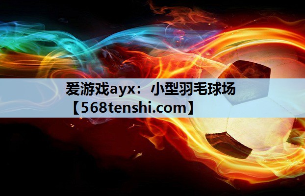 爱游戏ayx：小型羽毛球场